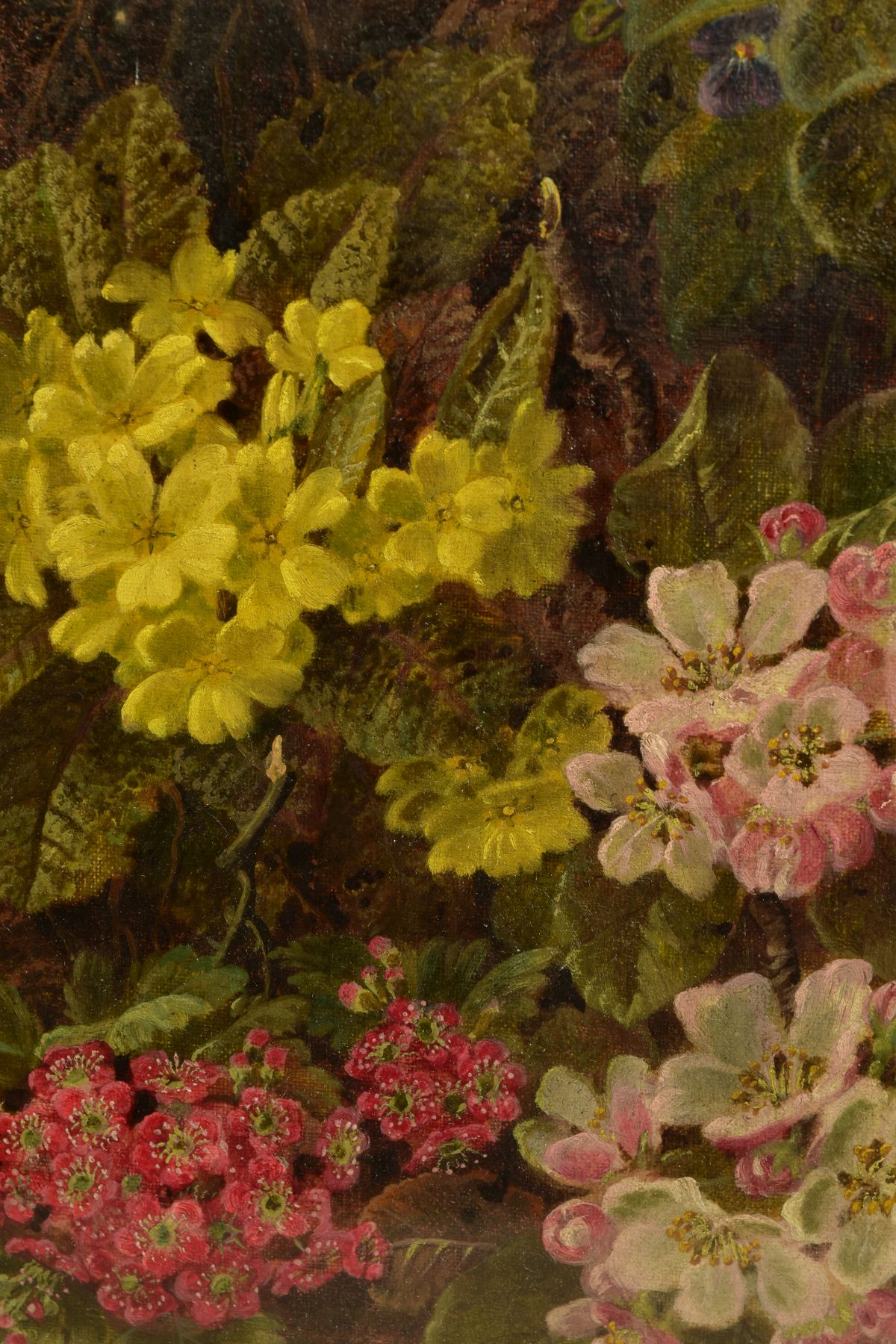 OLIVER CLARE (1852-1927), WILD FLOWERS AGAINST A MOSSY BANK, signed bottom right, oil on board?, - Image 3 of 11