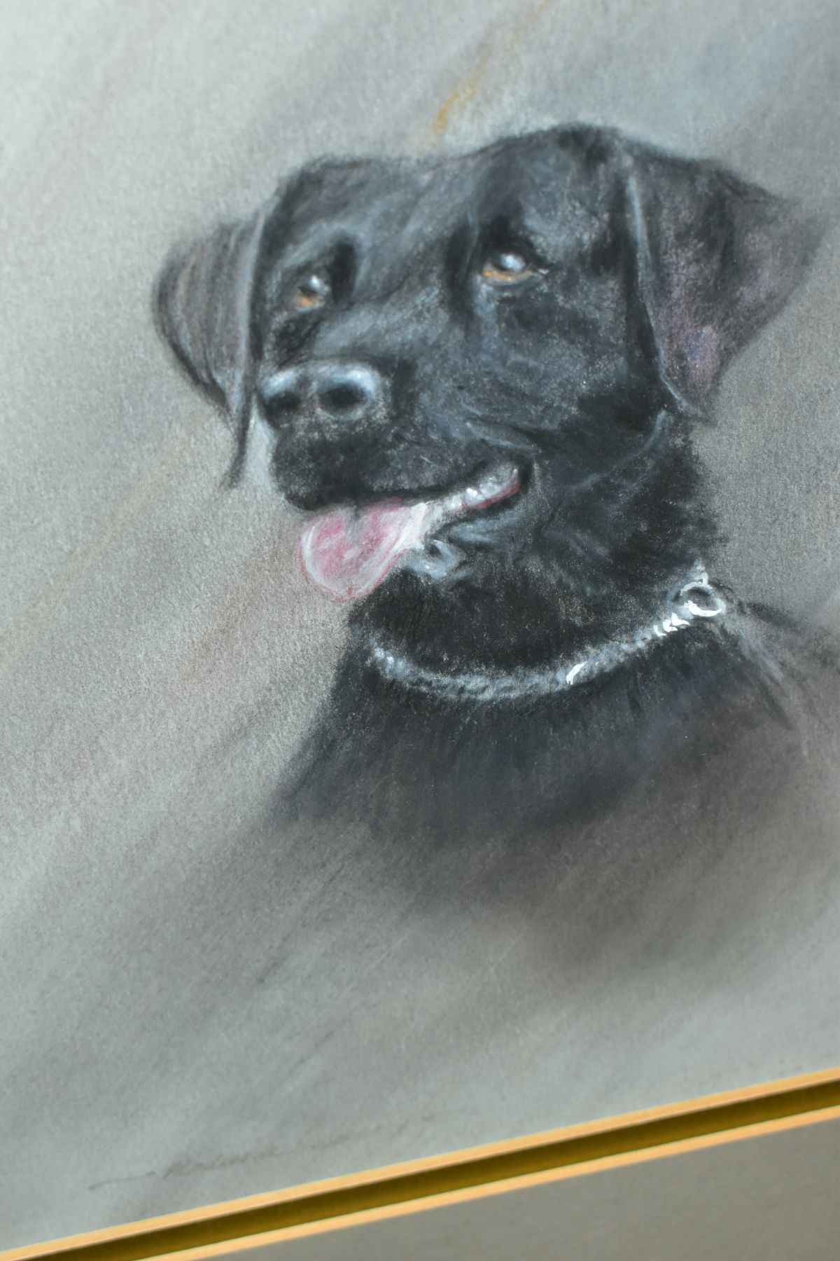 RODERICK LOVESEY (BRITISH 1944-2002) two pastel portrait sketches of dogs, a Retriever and a Black - Image 7 of 7