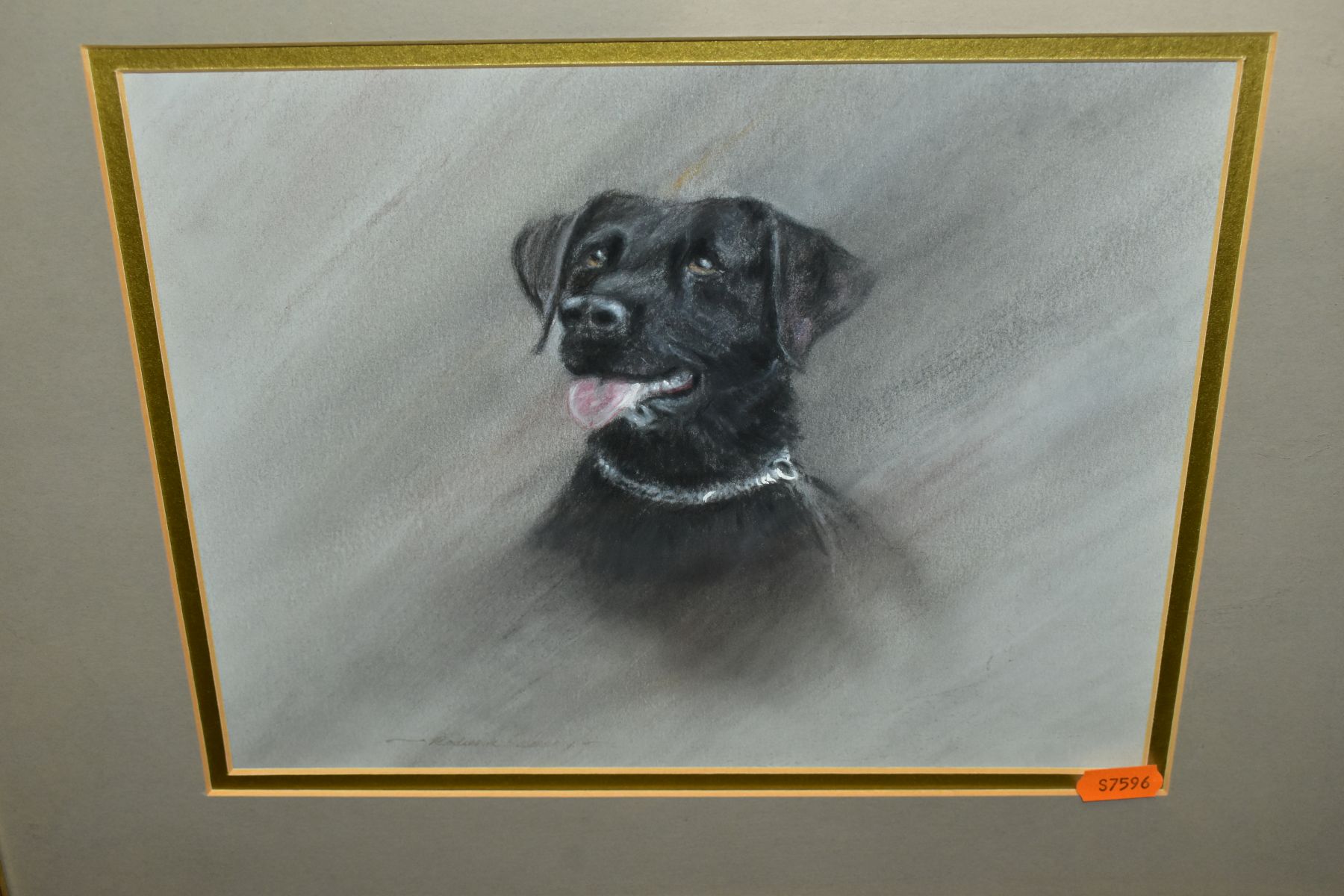 RODERICK LOVESEY (BRITISH 1944-2002) two pastel portrait sketches of dogs, a Retriever and a Black - Image 6 of 7
