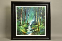 PHILIP GRAY (IRELAND 1959) 'FOREST OF LIGHT' a landscape with waterfall, a limited edition print