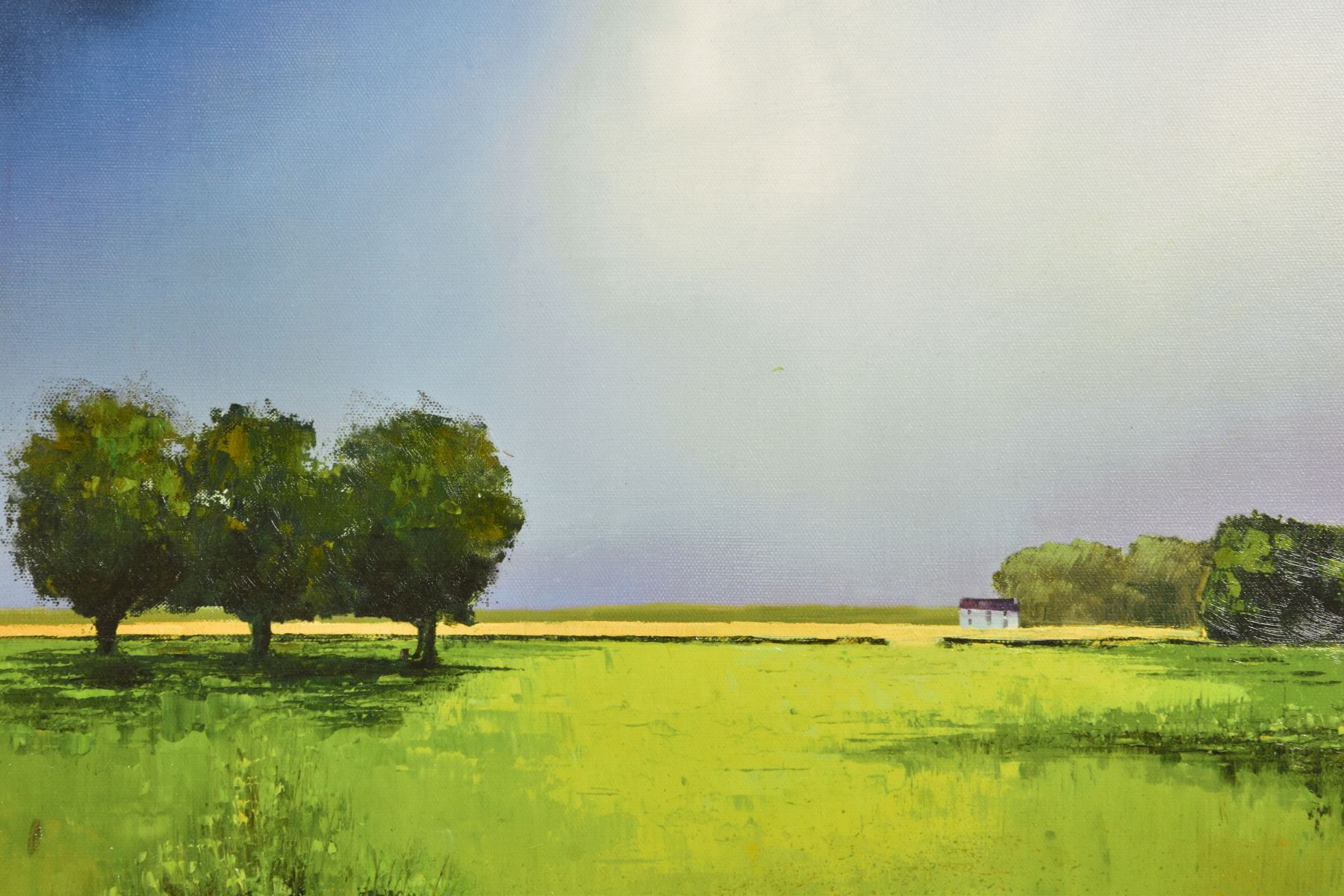 BARRY HILTON (BRITISH 1941) 'GREEN FIELDS OF HOME' a limited edition print of a landscape, signed - Image 2 of 11