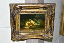 20TH CENTURY SCHOOL, DUCKS WITH DUCKLINGS BESIDE WATER, unsigned, oil on board, gilt framed,