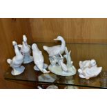 SIX NAO PORCELAIN FIGURES/GROUPS MODELLED AS WHITE DUCKS IN A VARIETY OF POSES, including two