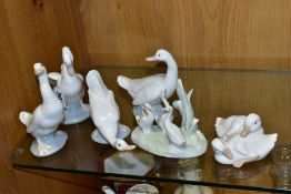 SIX NAO PORCELAIN FIGURES/GROUPS MODELLED AS WHITE DUCKS IN A VARIETY OF POSES, including two