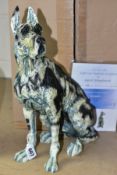 APRIL SHEPHERD (BRITISH CONTEMPORARY) 'ON GUARD' a limited edition sculpture of a Great Dane 43/295,