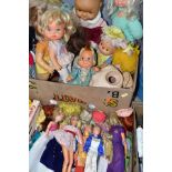 A QUANTITY OF ASSORTED DOLLS, to include Sindy, Jaime Sommers Six Million Dollar Woman, Jill from