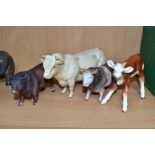 A BESWICK CHAROLAIS BULL, No. 2463A, gloss (both horns broken) and a Hereford calf No. 854 (brown