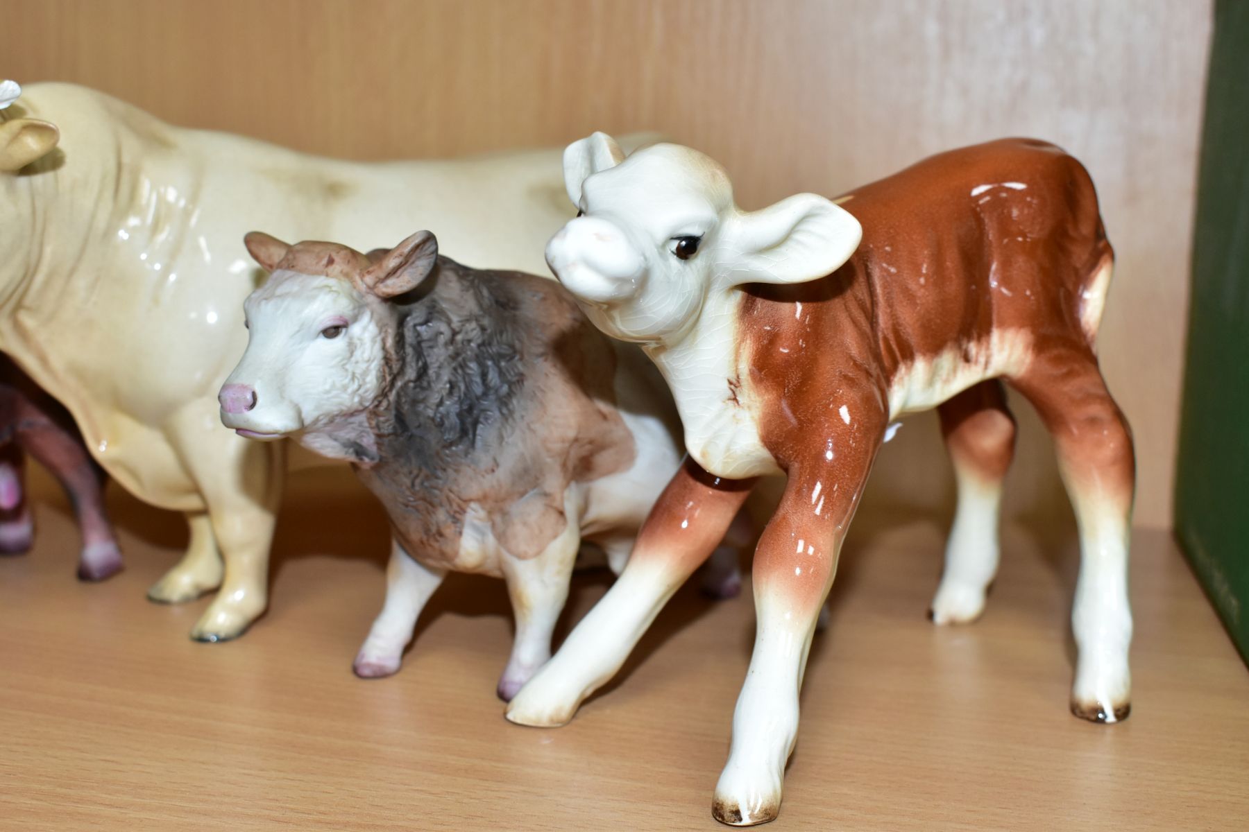 A BESWICK CHAROLAIS BULL, No. 2463A, gloss (both horns broken) and a Hereford calf No. 854 (brown - Image 2 of 5