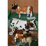 BESWICK AYRSHIRE CATTLE, comprising Bull Ch. Whitehill Mandate No.1454B, Cow Ch. Ickham Bessie No.