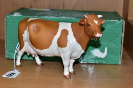 A BESWICK RED FRIESIAN COW, Ch. Claybury Leegwater, No.1362B, matt finish, oval Beswick backstamp,