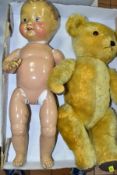 A DEANS CHILDSPLAY GOLDEN PLUSH TEDDY BEAR, plastic eyes, stitched nose and felt pads, plush worn in