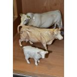 BESWICK CHAROLAIS CATTLE, comprising Bull No.2463A, gloss, Cow No.3075A, gloss and Charolais Calf