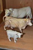 BESWICK CHAROLAIS CATTLE, comprising Bull No.2463A, gloss, Cow No.3075A, gloss and Charolais Calf