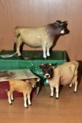 BESWICK JERSEY CATTLE, comprising boxed Bull Ch. Dunsley Coy Boy No.1422, Cow Ch. Newton Tinkle No.