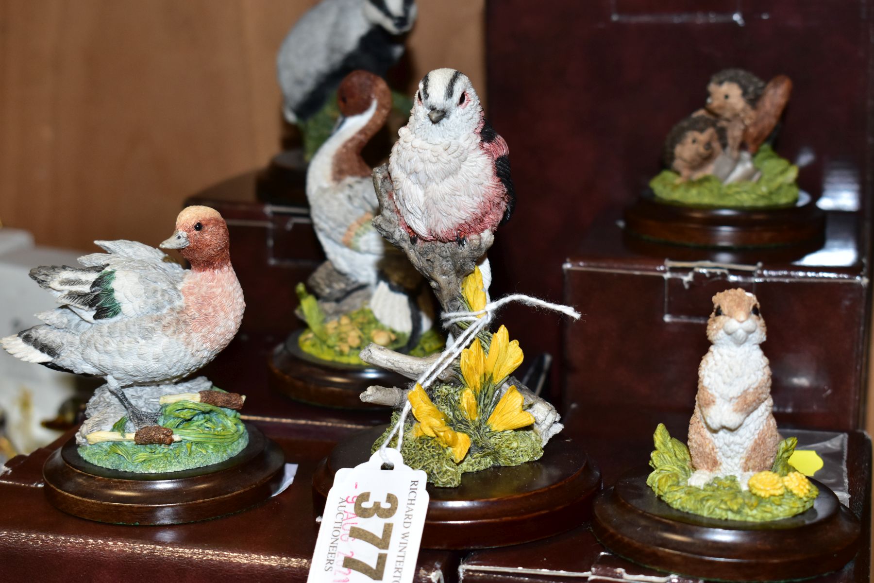 SEVEN BOXED COUNTRY ARTISTS ANIMAL AND BIRD SCULPTURES, comprising 'Long Tailed Tit with Gorse', s. - Bild 2 aus 9