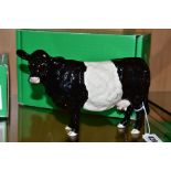 A BOXED BESWICK RARE BREED BELTED GALLOWAY COW, No 4113A designed by Robert Donaldson, Beswick crest