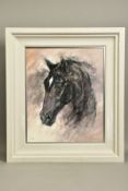 GARY BENFIELD (BRITISH 1965) 'MIDNIGHT', a limited edition head portrait of a black horse 72/95,