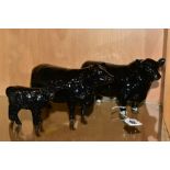 BESWICK ABERDEEN ANGUS CATTLE, comprising Bull No.1562, Cow No.1563 and Aberdeen Angus Calf No.