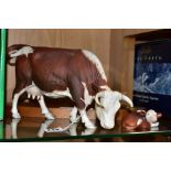 A BOXED ROYAL DOULTON/HEREFORD COW AND CALF FIGURE GROUP, DA34, matt finish, on wooden plinth, Royal