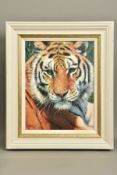 TONY FORREST (BRITISH 1961) 'WILD THING', a portrait of a tiger, limited edition print, 47/195,