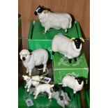 SIX BESWICK SHEEP, comprising sheep No 935, two lambs No 937 and 938, boxed Black Faced Sheep No