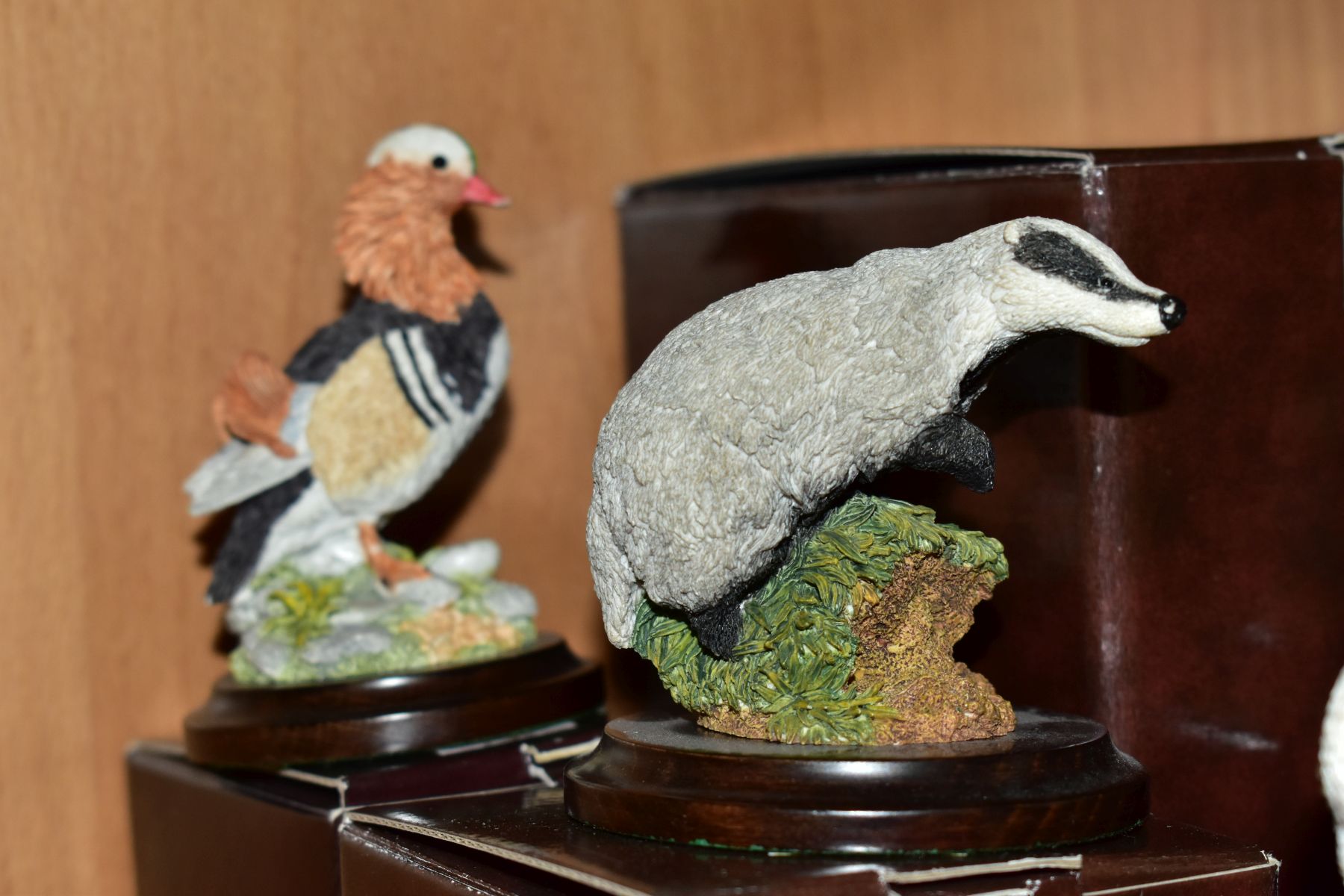 SEVEN BOXED COUNTRY ARTISTS ANIMAL AND BIRD SCULPTURES, comprising 'Long Tailed Tit with Gorse', s. - Bild 5 aus 9