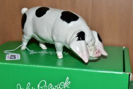 A BESWICK RARE BREED GLOUCESTER OLD SPOT, No 4116, designed by Robert Donaldson, Beswick crest