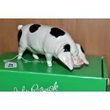 A BESWICK RARE BREED GLOUCESTER OLD SPOT, No 4116, designed by Robert Donaldson, Beswick crest