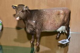 A BESWICK DAIRY SHORTHORN COW, Ch. 'Eaton Wild Eyes 91st', No.1510, oval Beswick backstamp (