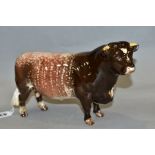 A BESWICK DAIRY SHORTHORN BULL, Ch. 'Gwersylt Lord Oxford 74th', No.1504, oval Beswick backstamp (