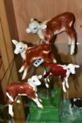 FOUR BESWICK HEREFORD CALVES, comprising No 854, brown and white, No 901B (closed mouth) brown and