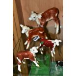 FOUR BESWICK HEREFORD CALVES, comprising No 854, brown and white, No 901B (closed mouth) brown and