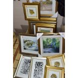 TWENTY LIMITED EDITION PRINTS comprising sixteen Stephen Gayford Wildlife prints - Big Cats,