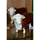 TWO BESWICK HEREFORD BULLS, comprising No.1363A (first version, horns protrude from ears) and Polled