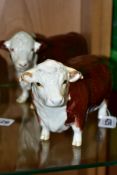 TWO BESWICK HEREFORD BULLS, comprising No.1363A (first version, horns protrude from ears) and Polled