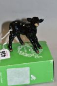 A BESWICK ABERDEEN ANGUS CALF, No.1406A, oval Beswick backstamp, with odd box (condition: no obvious