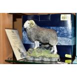 A BOXED BORDER FINE ARTS LIMITED EDITION SCULPTURE, 'Herdwick Tup', model No 0705 by Ray Ayres, No