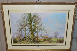 A SIGNED DAVID SHEPHERD PRINT, 'This England', a rural landscape scene, framed and glazed