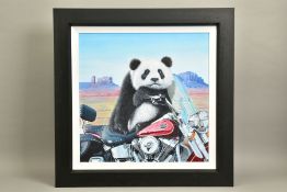 STEVE TANDY (BRITISH 1973) 'BORN TO BE WILD' a Panda Bear on a Harley Davidson Heritage Softail
