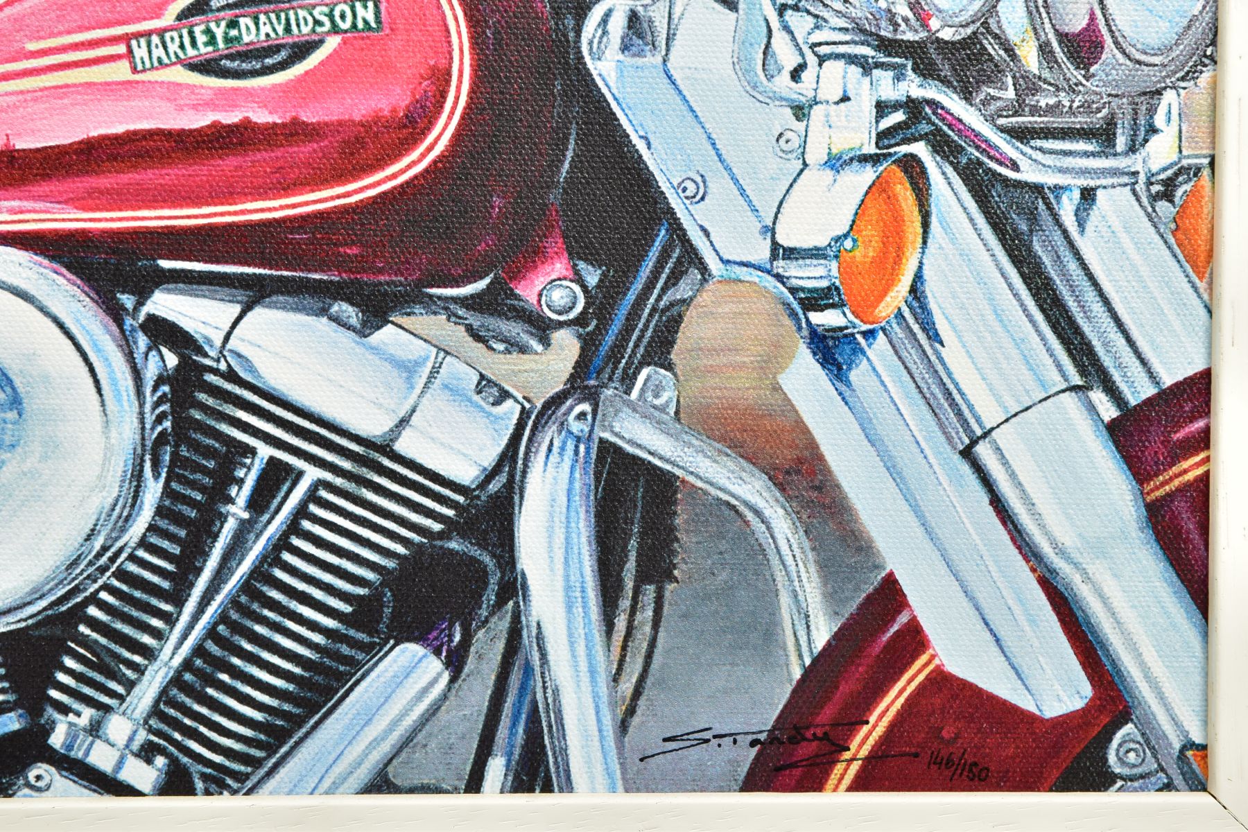 STEVE TANDY (BRITISH 1973) 'BORN TO BE WILD' a Panda Bear on a Harley Davidson Heritage Softail - Image 3 of 4