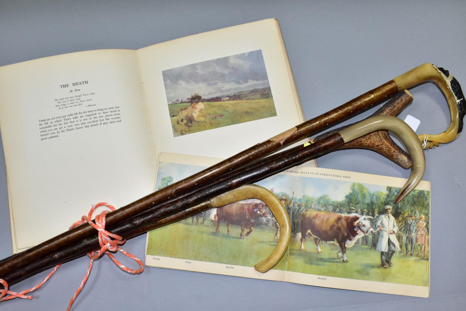 LIONEL EDWARDS: My Hunting Sketch Book, vol. II, published by Eyre & Spottiswoode and Our Cattle, - Bild 3 aus 5