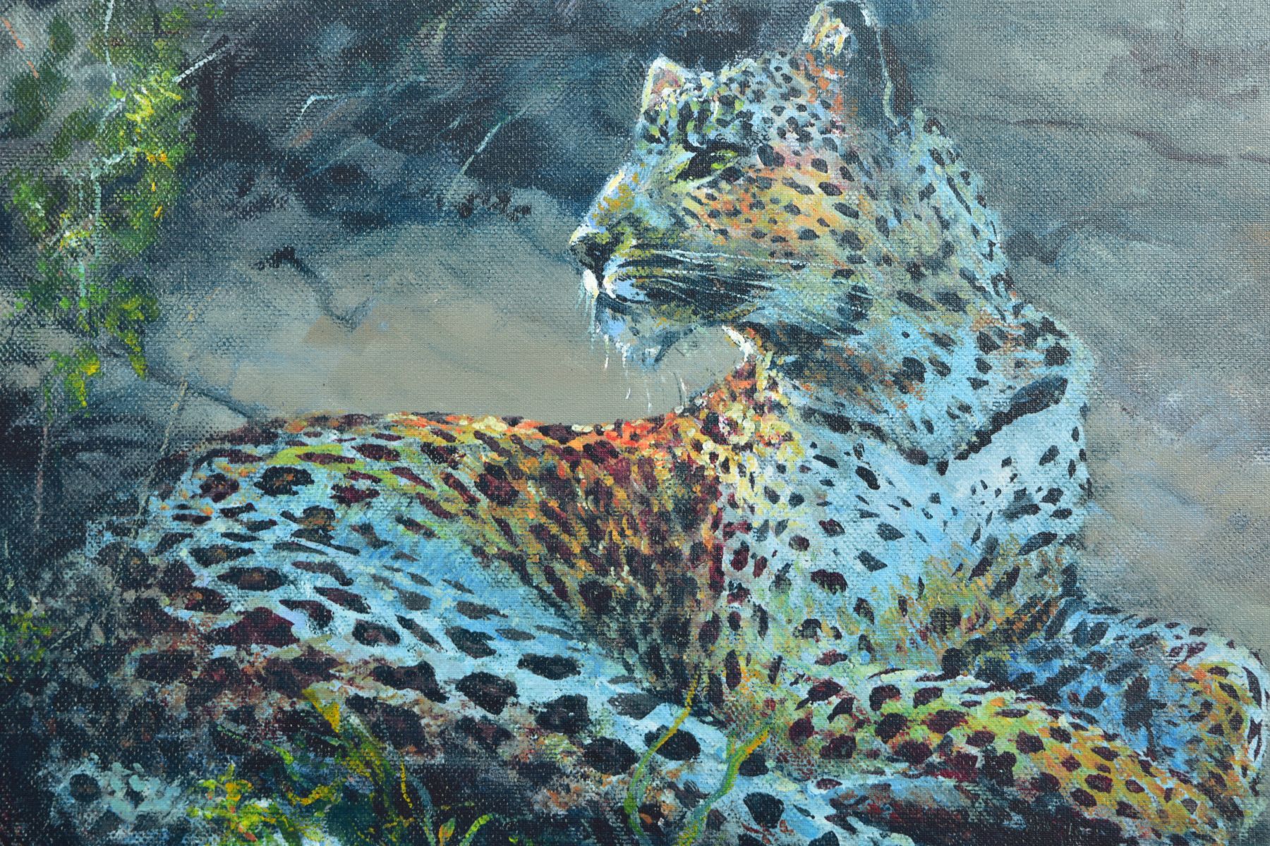 ROLF HARRIS (AUSTRALIAN 1930) 'LEOPARD RECLINING AT DUSK', signed limited edition print 24/195, with - Image 2 of 6