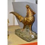 AN EARLY 20TH CENTURY GILT AND PATINATED PLASTER LIFE SIZE MODEL OF AN EXOTIC PHEASANT, with