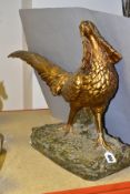 AN EARLY 20TH CENTURY GILT AND PATINATED PLASTER LIFE SIZE MODEL OF AN EXOTIC PHEASANT, with