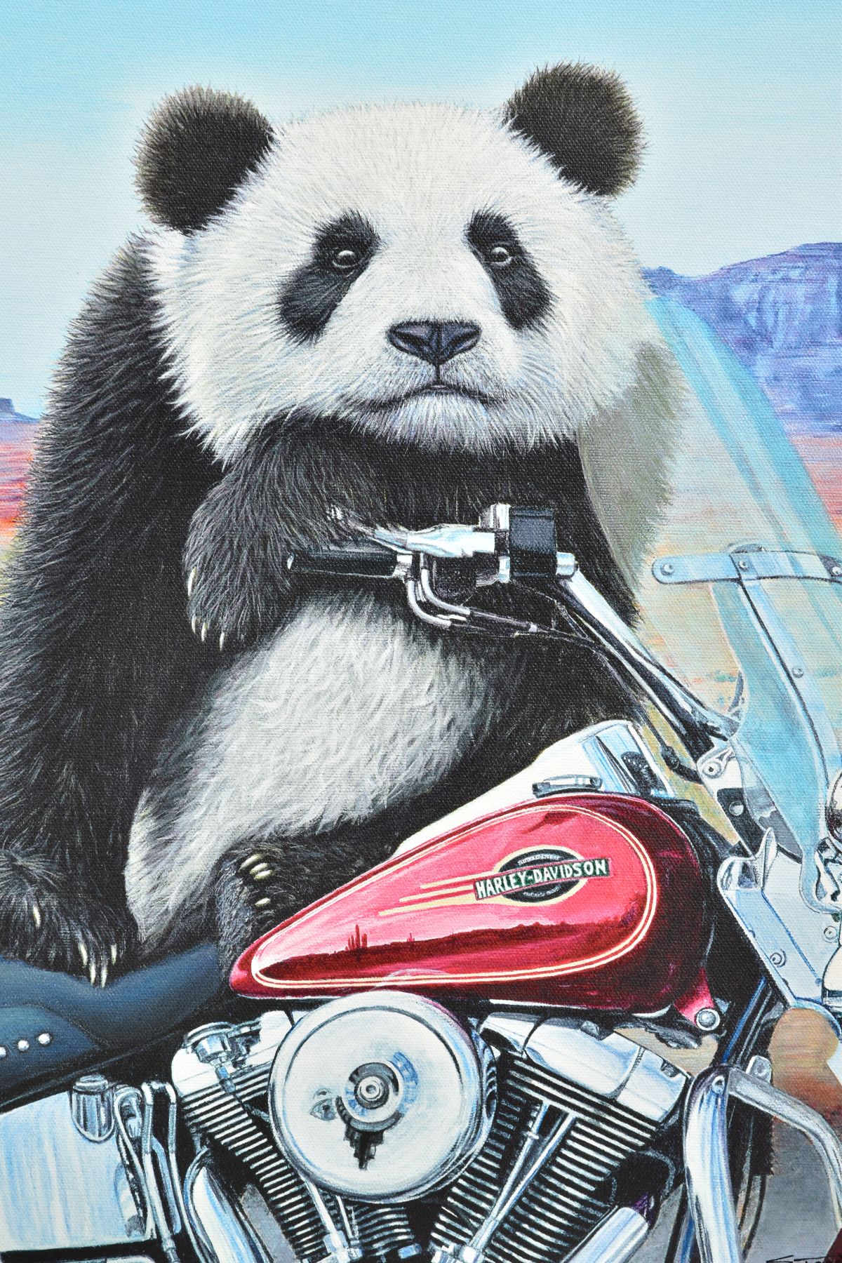 STEVE TANDY (BRITISH 1973) 'BORN TO BE WILD' a Panda Bear on a Harley Davidson Heritage Softail - Image 2 of 4