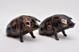 TWO EARLY 20TH CENTURY DENBY MAJOLICA GLAZE PIG MONEY BOXES, one marked Peter 1924 (old damage to