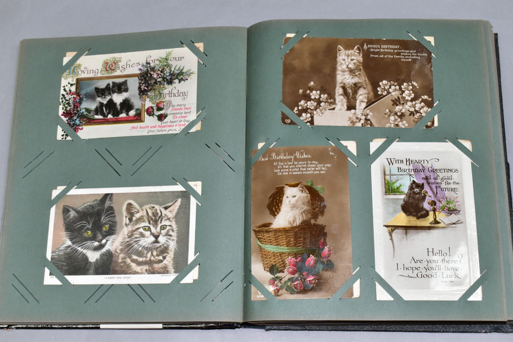 POSTCARDS, one album containing approximately 250 cat related postcards - Bild 5 aus 11