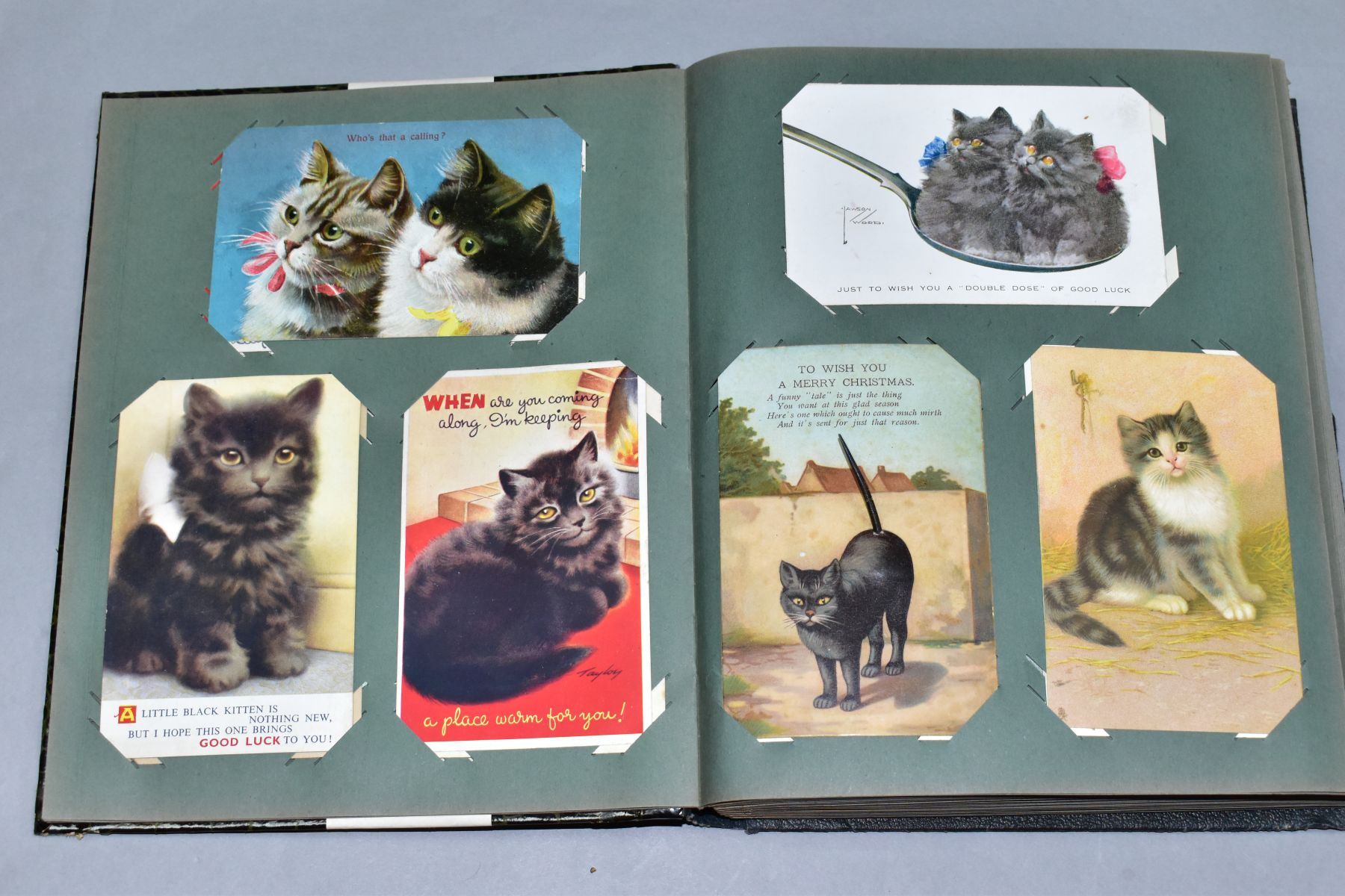 POSTCARDS, one album containing approximately 250 cat related postcards - Bild 3 aus 11