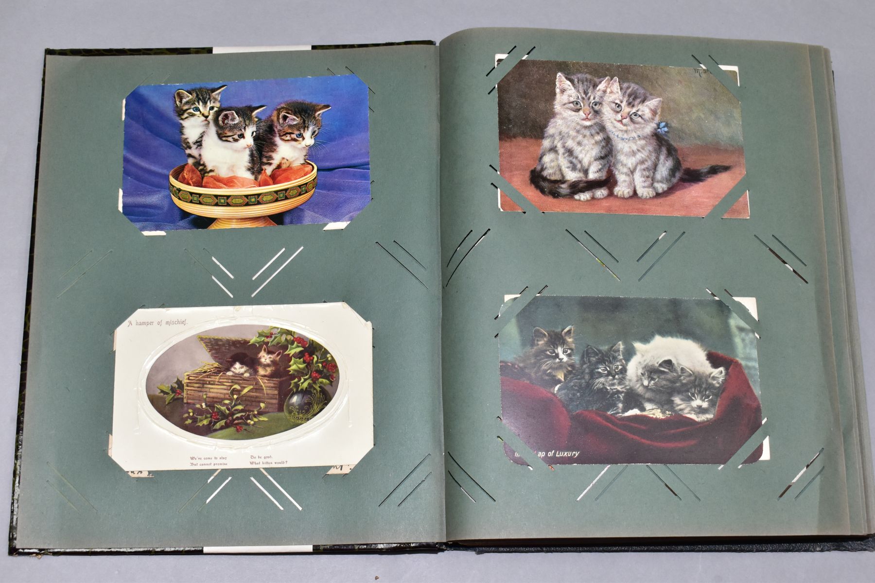 POSTCARDS, one album containing approximately 250 cat related postcards
