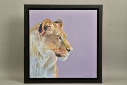 DARRYN EGGLETON (SOUTH AFRICA 1981) 'QUEEN OF THE SAVANNAH' a portrait of a lioness, signed